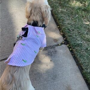 - The Worthy Dog Pet Dog Velcro Alligator striped Pink Shirt size XS NWOT